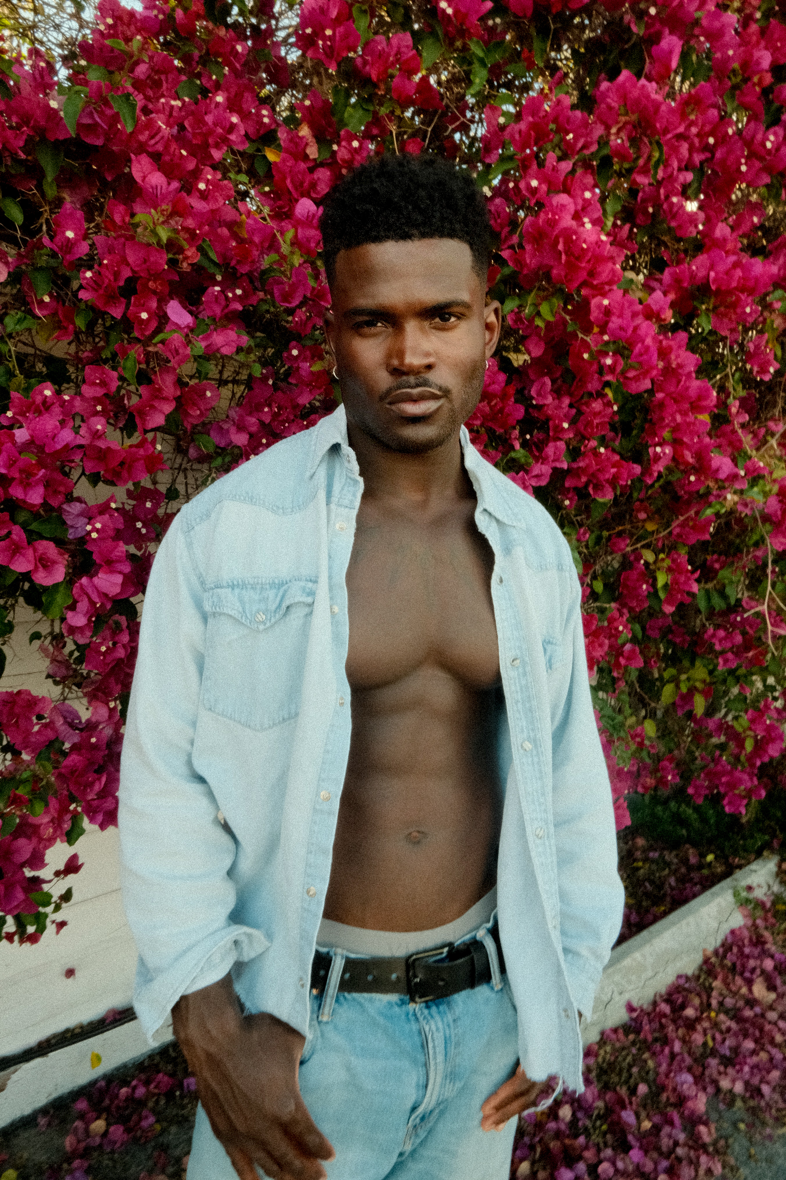 Joseph Foley — bougainvillea editorial
